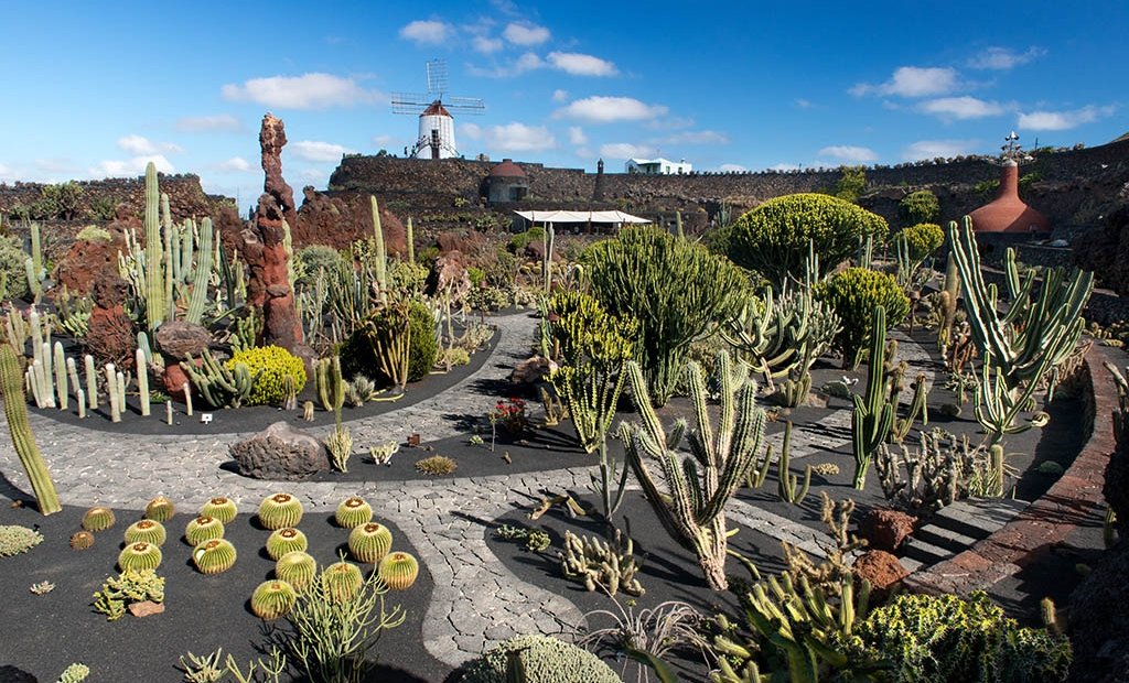 Gardens Created by the Works of Manrique