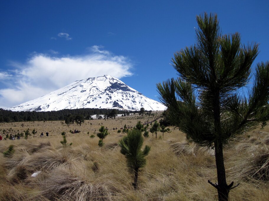 View of the volcano from the plains