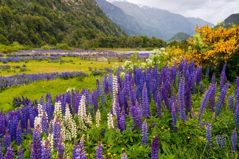 Patagonia In November Travel Tips Weather And More