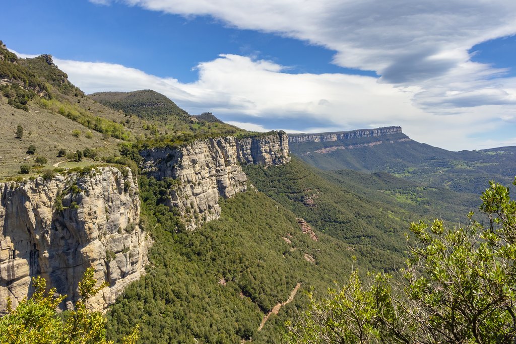Foothills of the Salt de Sallent