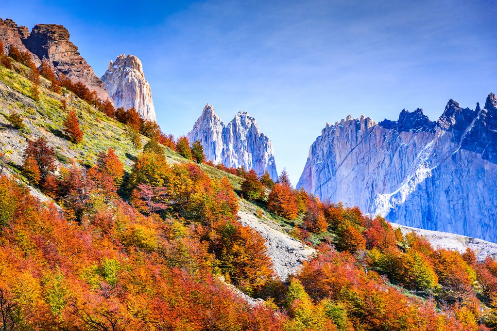 Almirante Nieto with fall colors