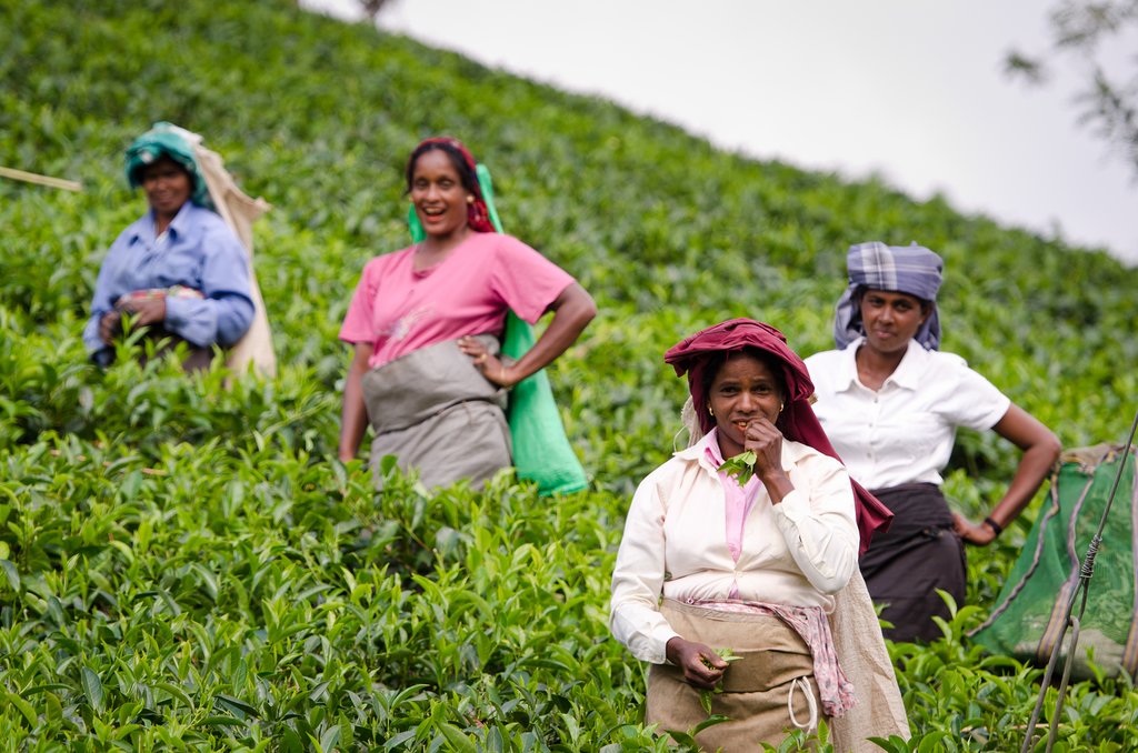 It's time to say goodbye to Sri Lanka