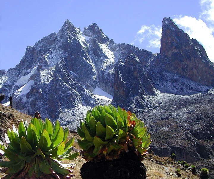 Mount Kenya Multi-Day Trek - 7 Days