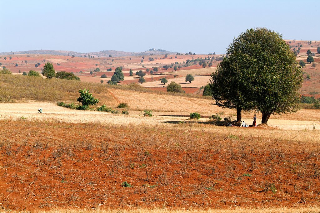 Pindaya