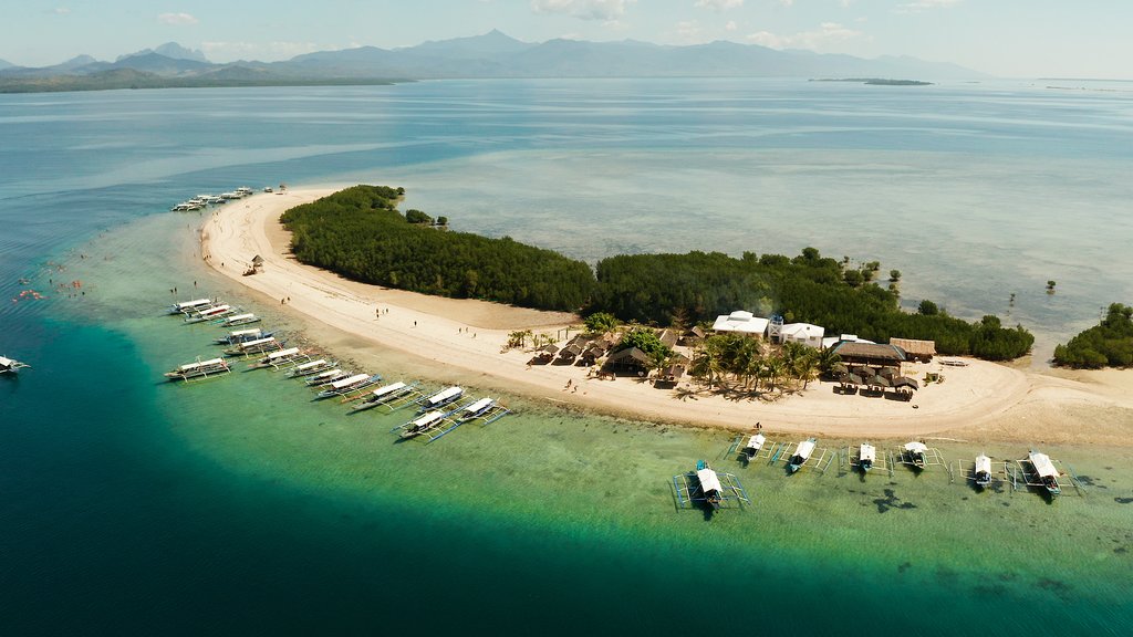 Starfish Island