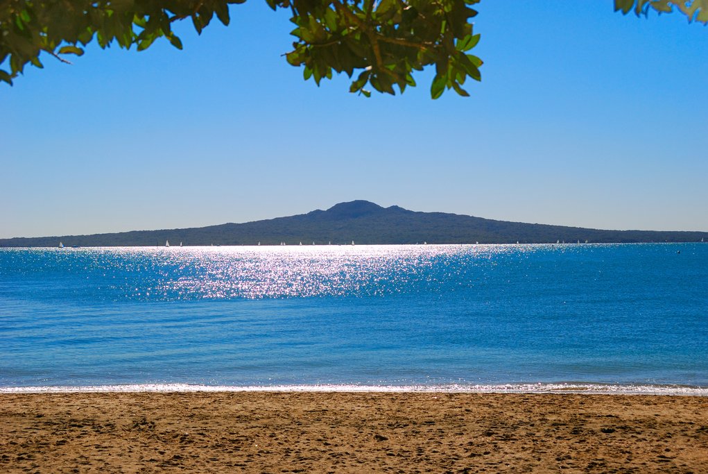 Visit Rangitoto Island