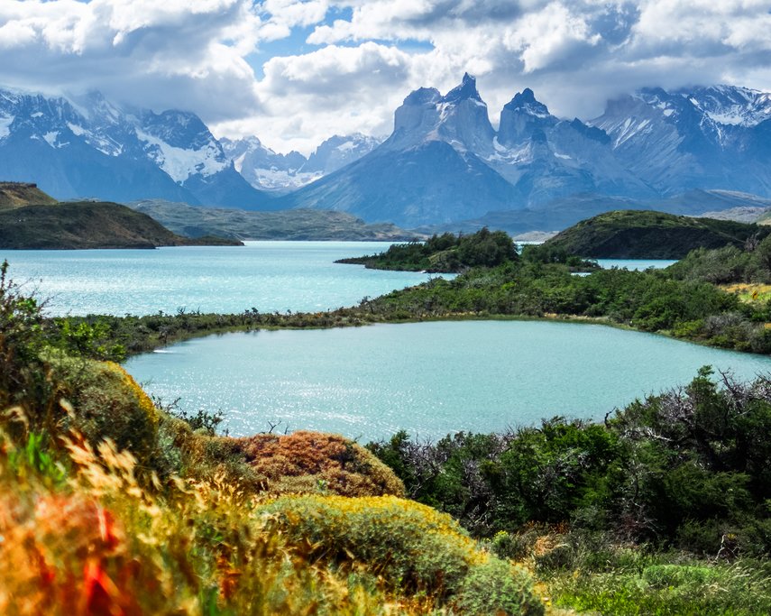 A contrast of colors in Torres del Paine