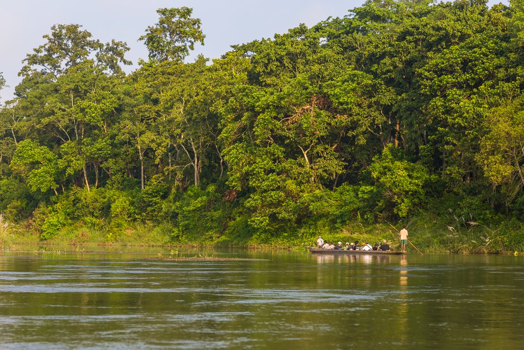 Wooden boats taking travelers down the Rapti river, Chitwan