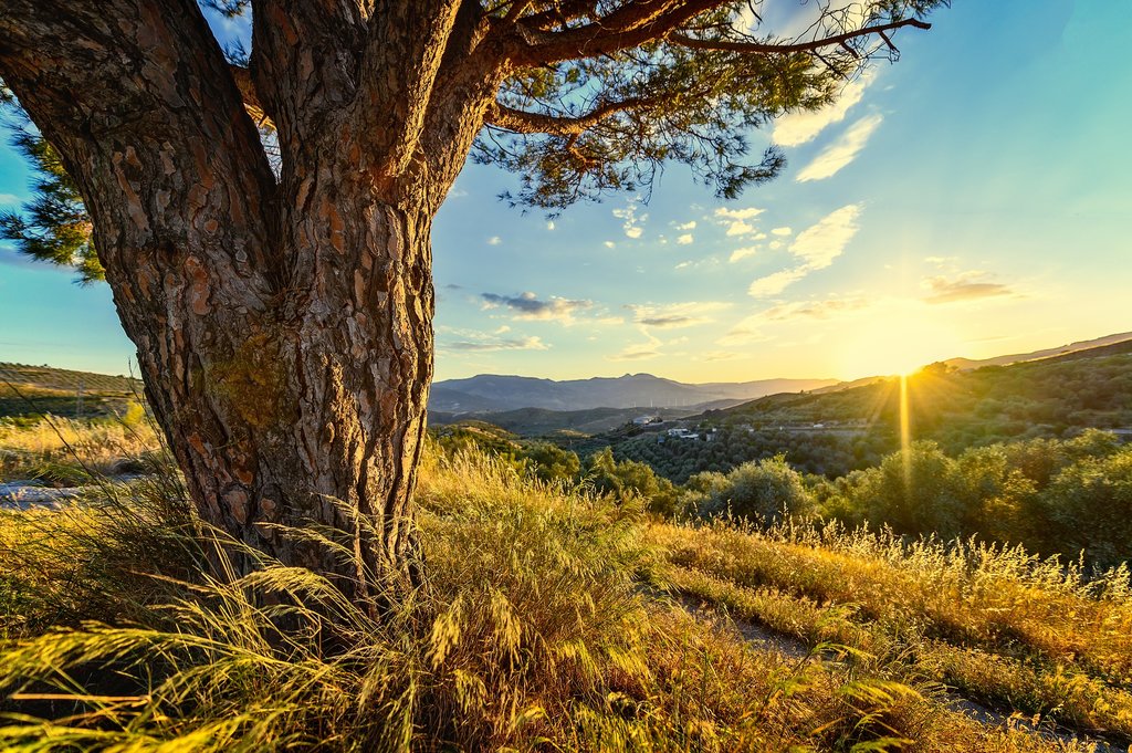 Rural Andalusia