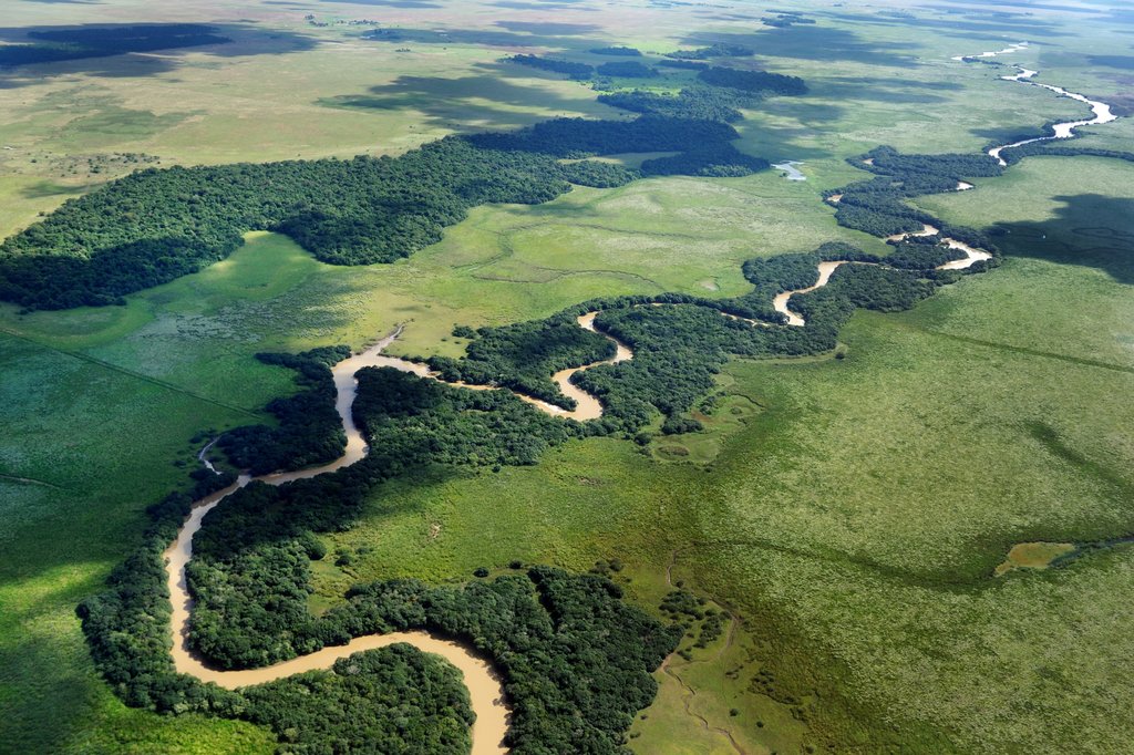 Iberá Wetlands