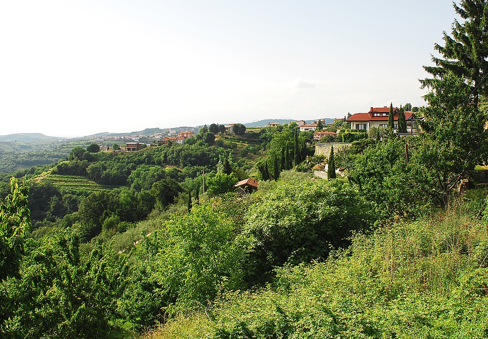 Take a last glimpse of the landscape