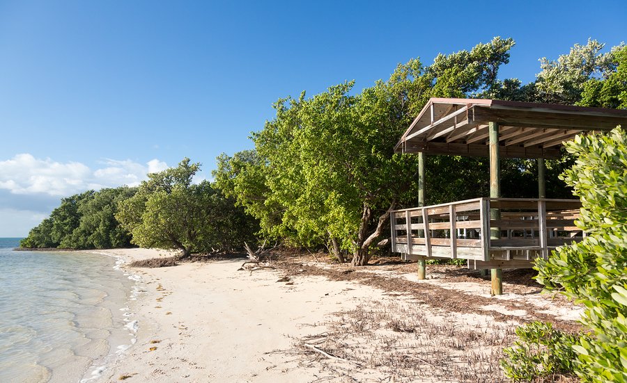 Anne's Beach on Islamorada