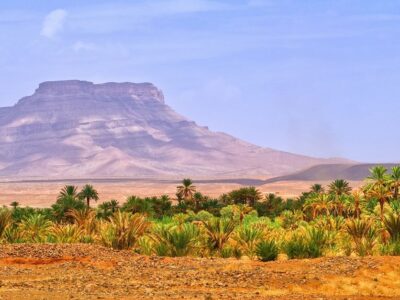 Table mountain and date palms landscape in oasis in Draa Valley Morocco