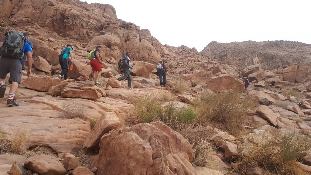 Trekking from EHEDAT to BEIDA  (Dana to Petra)