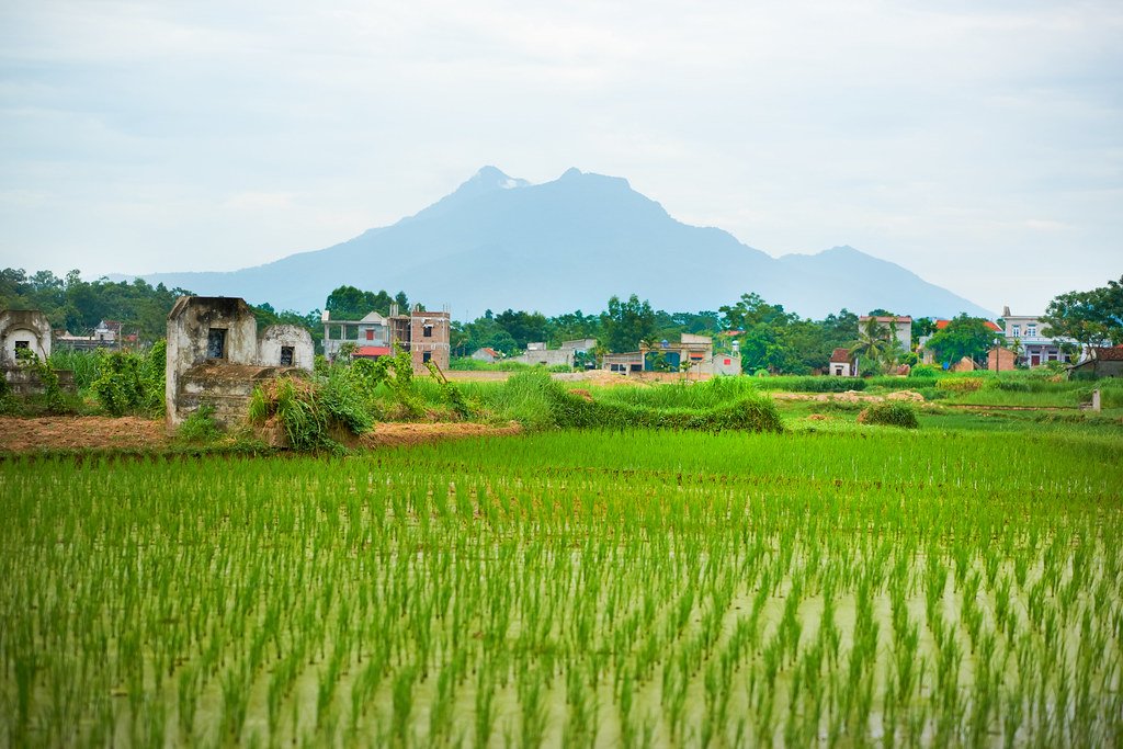 Enjoy the countryside around Hanoi
