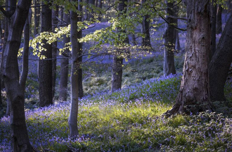 Wales In April Travel Tips Weather More