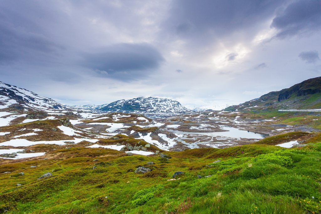 Arctic summer, Norway