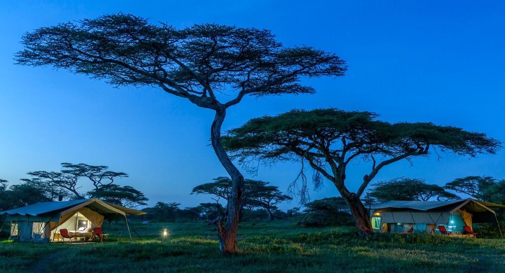 Camp at Serengeti National Park