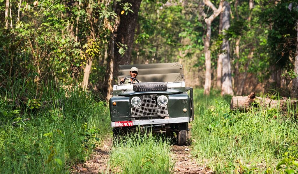 big-4230c7803b546109bafe707ab55689b2