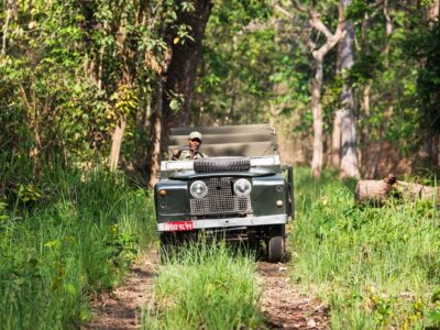 big-4230c7803b546109bafe707ab55689b2