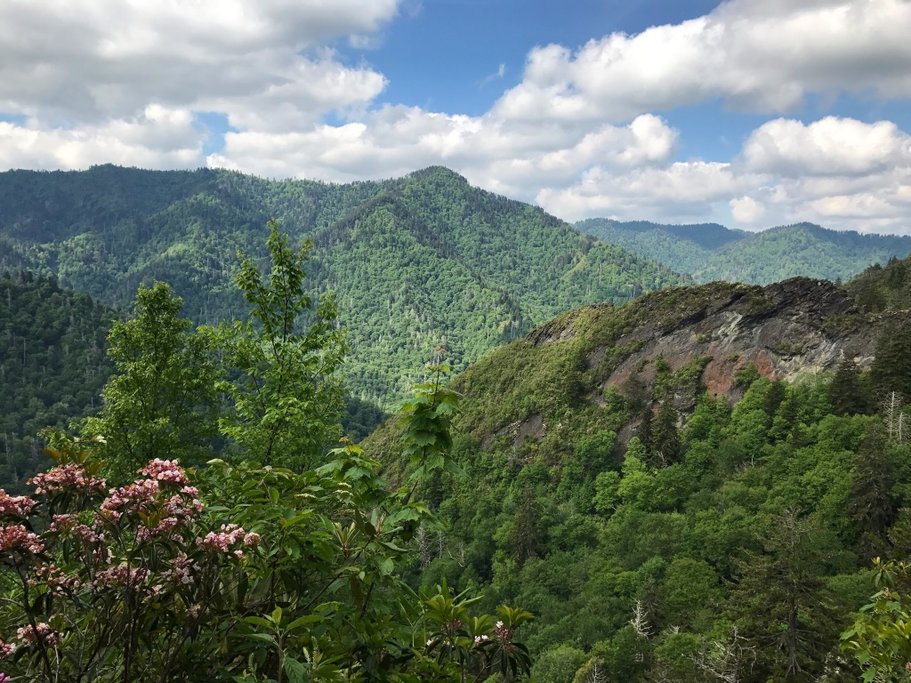 Newfound Gap Viewpoint