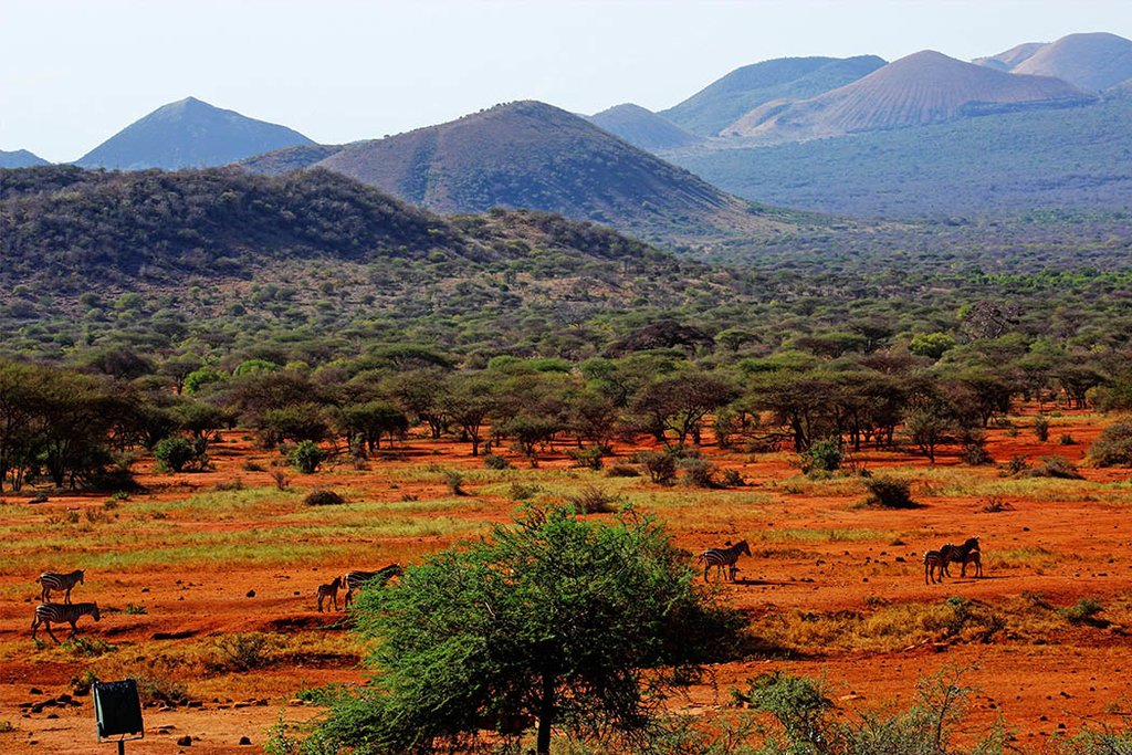 Beautiful tsavo park