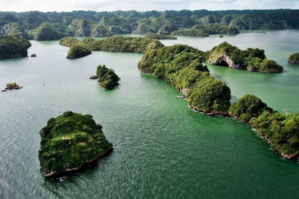 Day trip to Los Haitises National Park