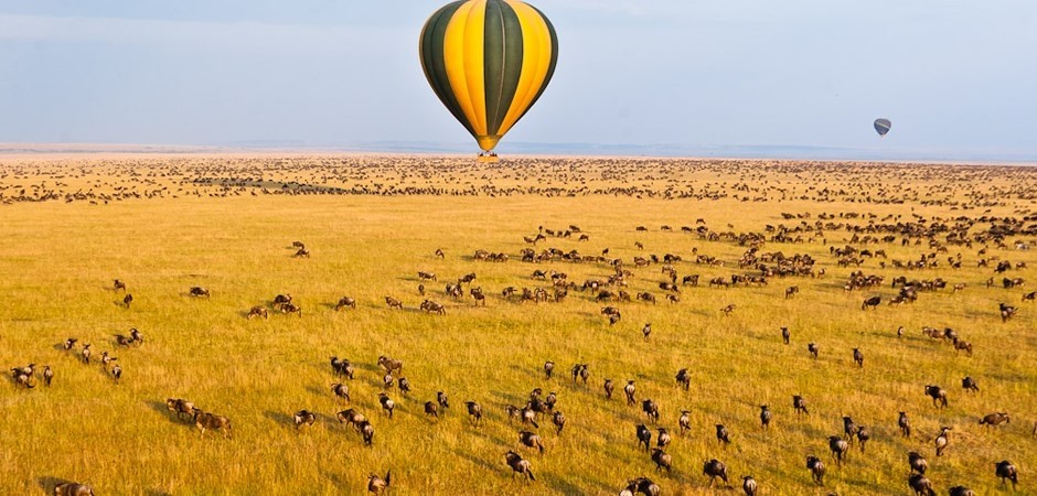 An air balloon on safari