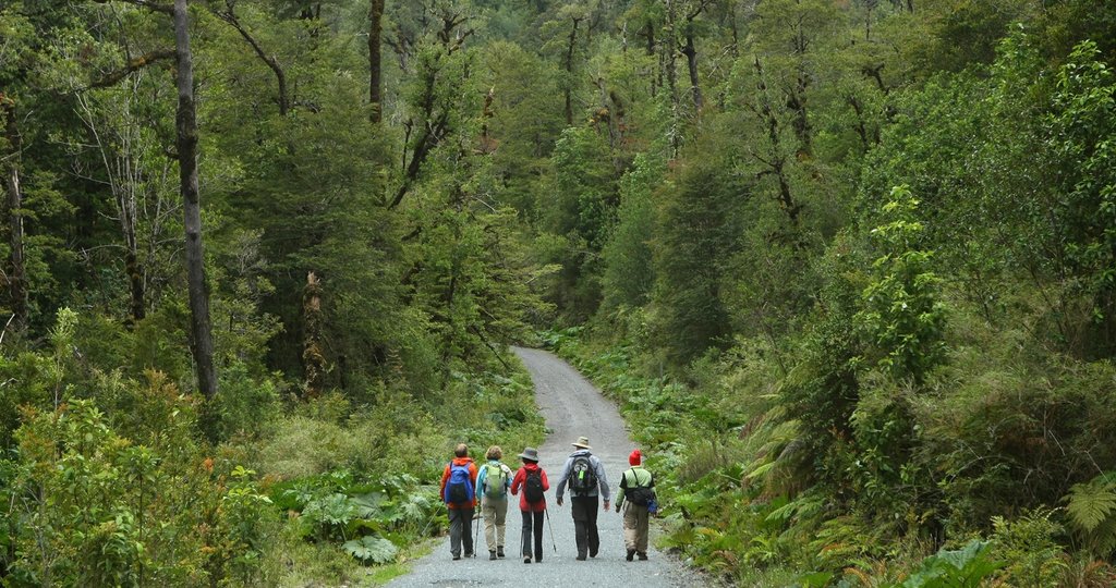 Walking in Chile's Lake District