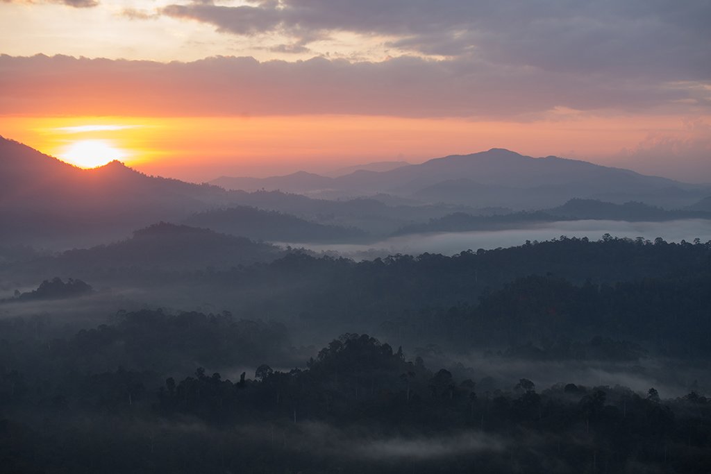 Early morning sunrise in Danum Valley