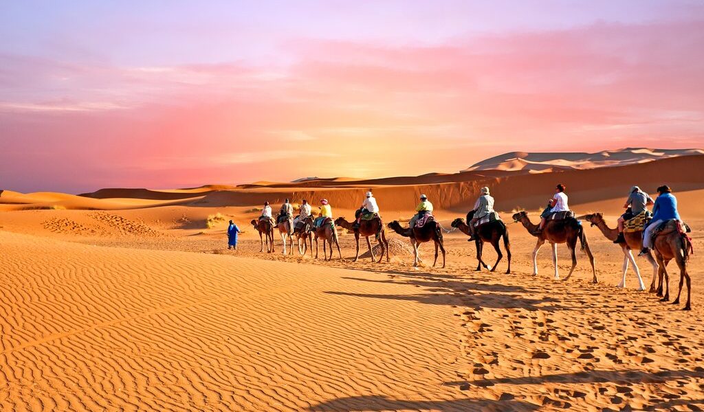 Camel caravan going through the sand dunes in the Sahara Desert,