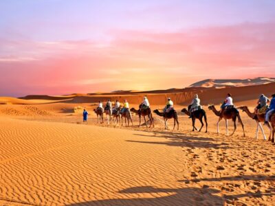 Camel caravan going through the sand dunes in the Sahara Desert,