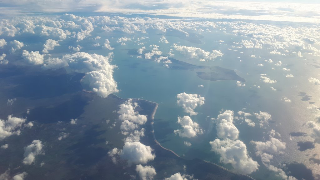 Flight back