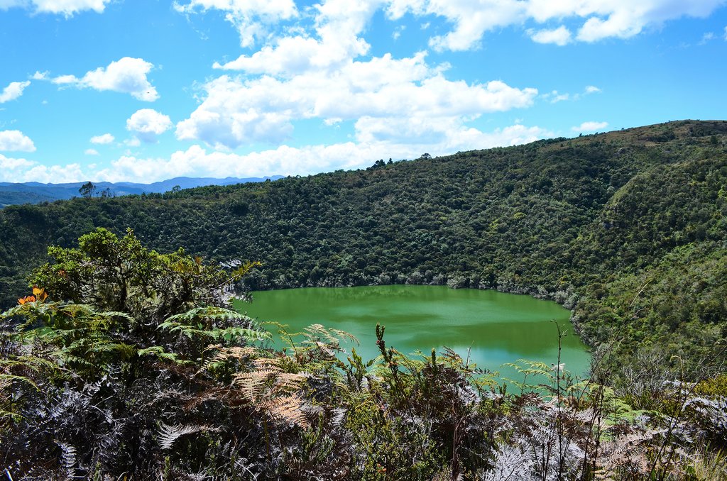Gautavita