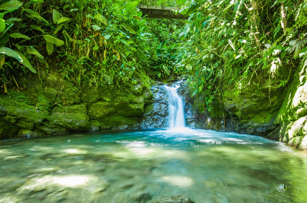 Inviting waterfall in the cloud forest near Mindo
