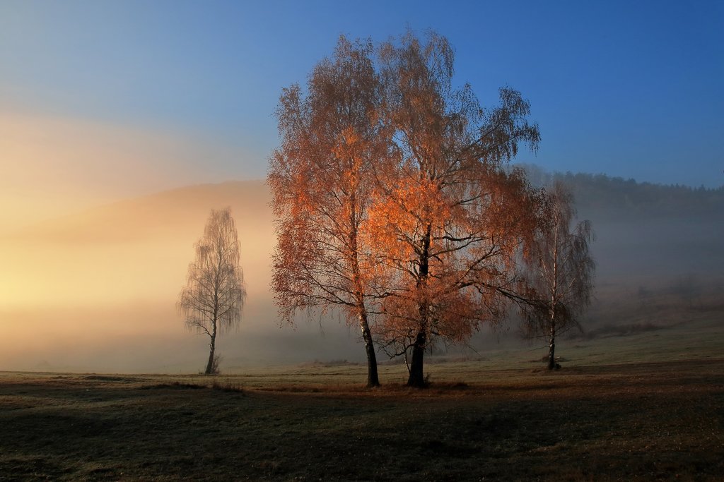 A foggy glimpse of Lake Cerknica