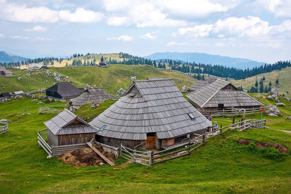 Velika Planina Meadow