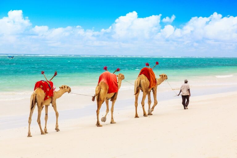 Kenya In August Travel Tips Weather And More