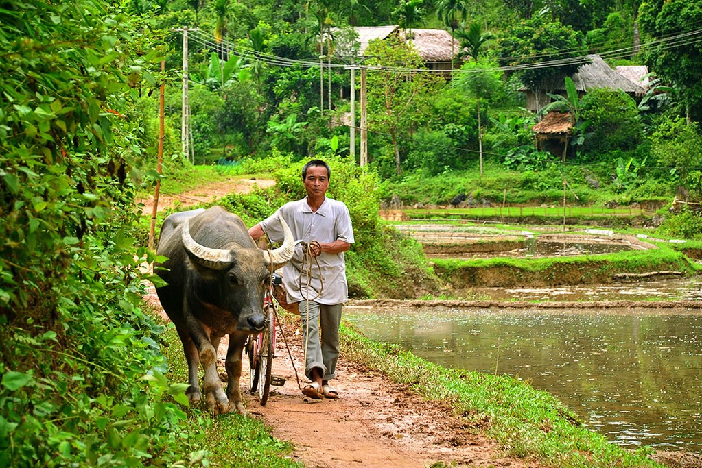 Local people