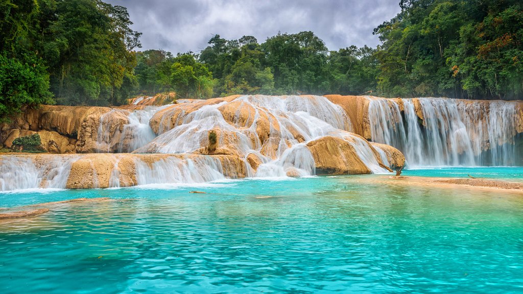 Mexico - Chiapas - Agua Azul Waterfalls