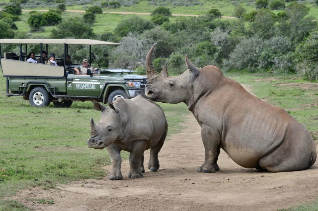 Game drive time