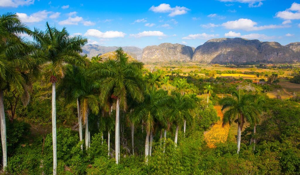 Famous Cuba farmland tobacco area Valley de Vinales Pinar del Rio Cuba.