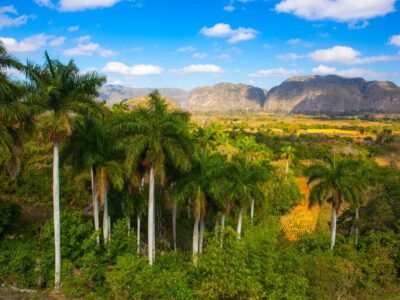 Famous Cuba farmland tobacco area Valley de Vinales Pinar del Rio Cuba.