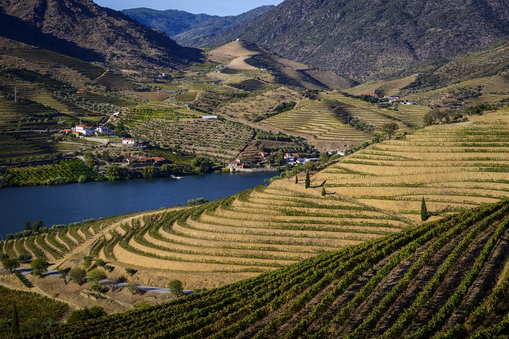 The beautiful scenery of the Douro Valley
