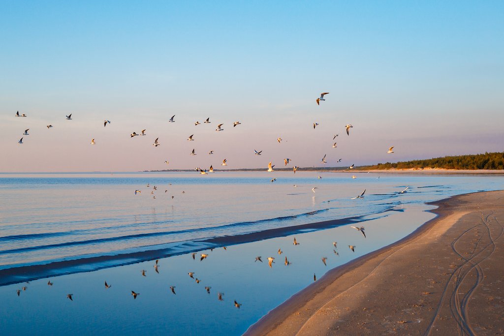 Spend time at the beach in Jūrmala