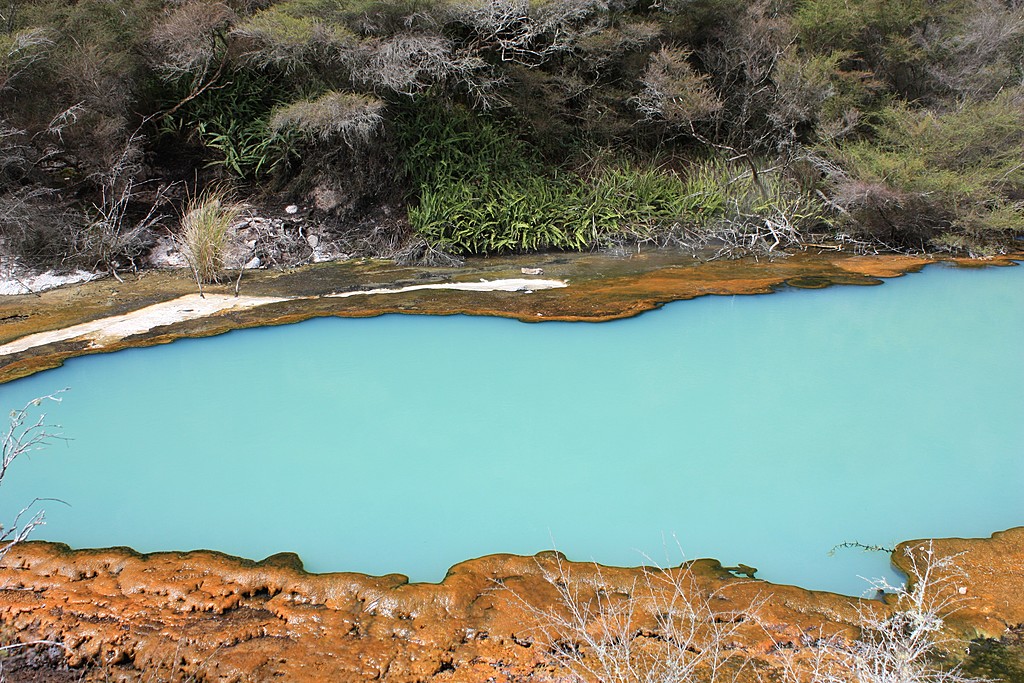 Waimangu Volcanic Valley