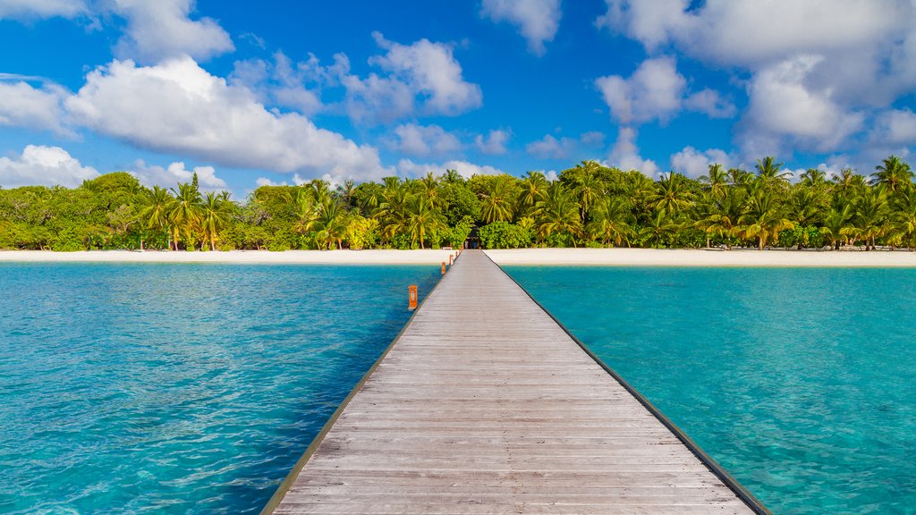 Welcome to the Maldives!