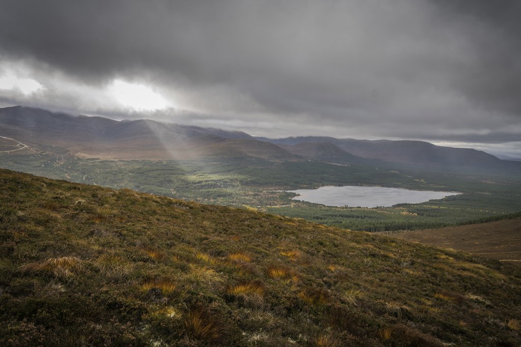 Cairngorms National Park