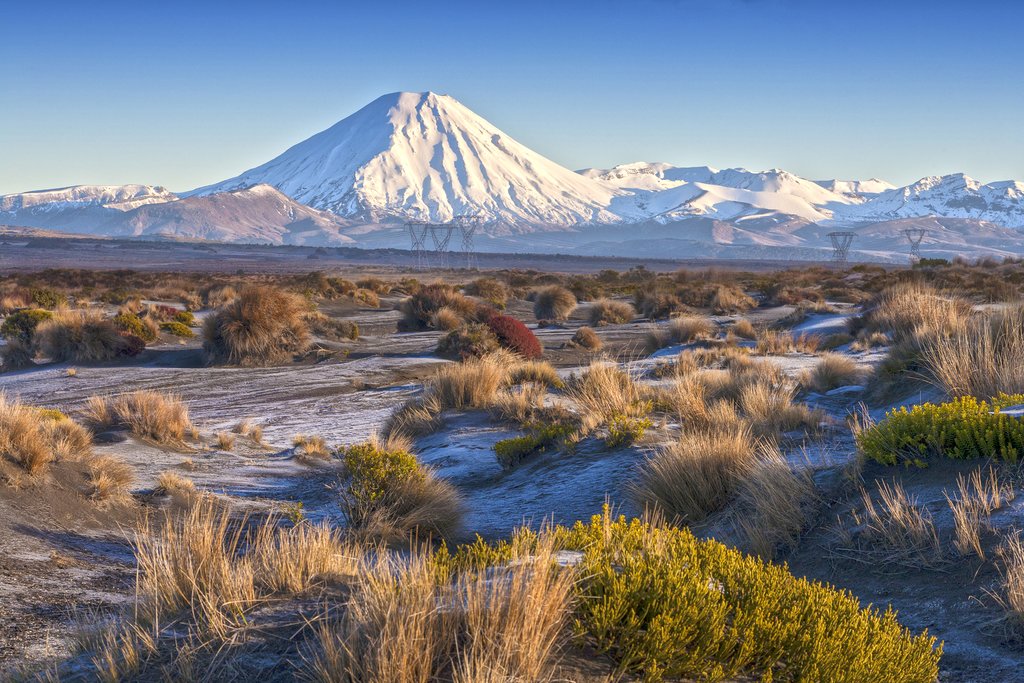 Views of Tongariro National Park