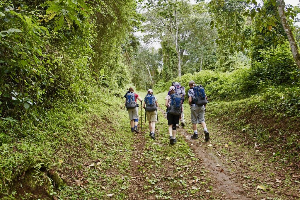 Kili trek